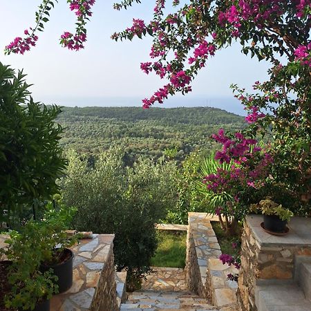 Vila Tatjana Pension Vuno Buitenkant foto