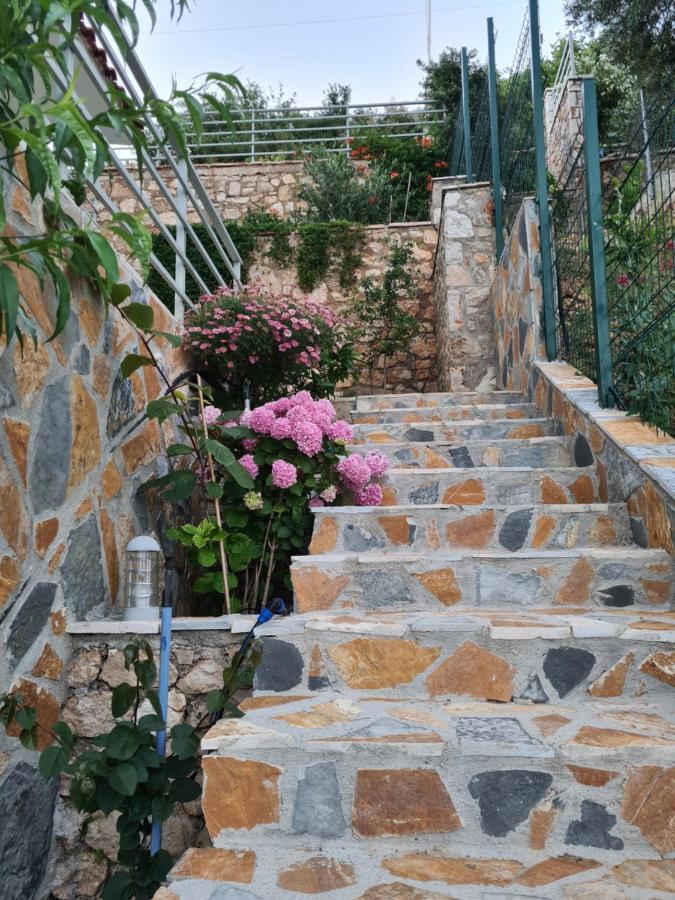 Vila Tatjana Pension Vuno Buitenkant foto