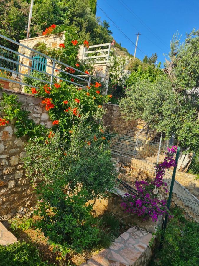 Vila Tatjana Pension Vuno Buitenkant foto