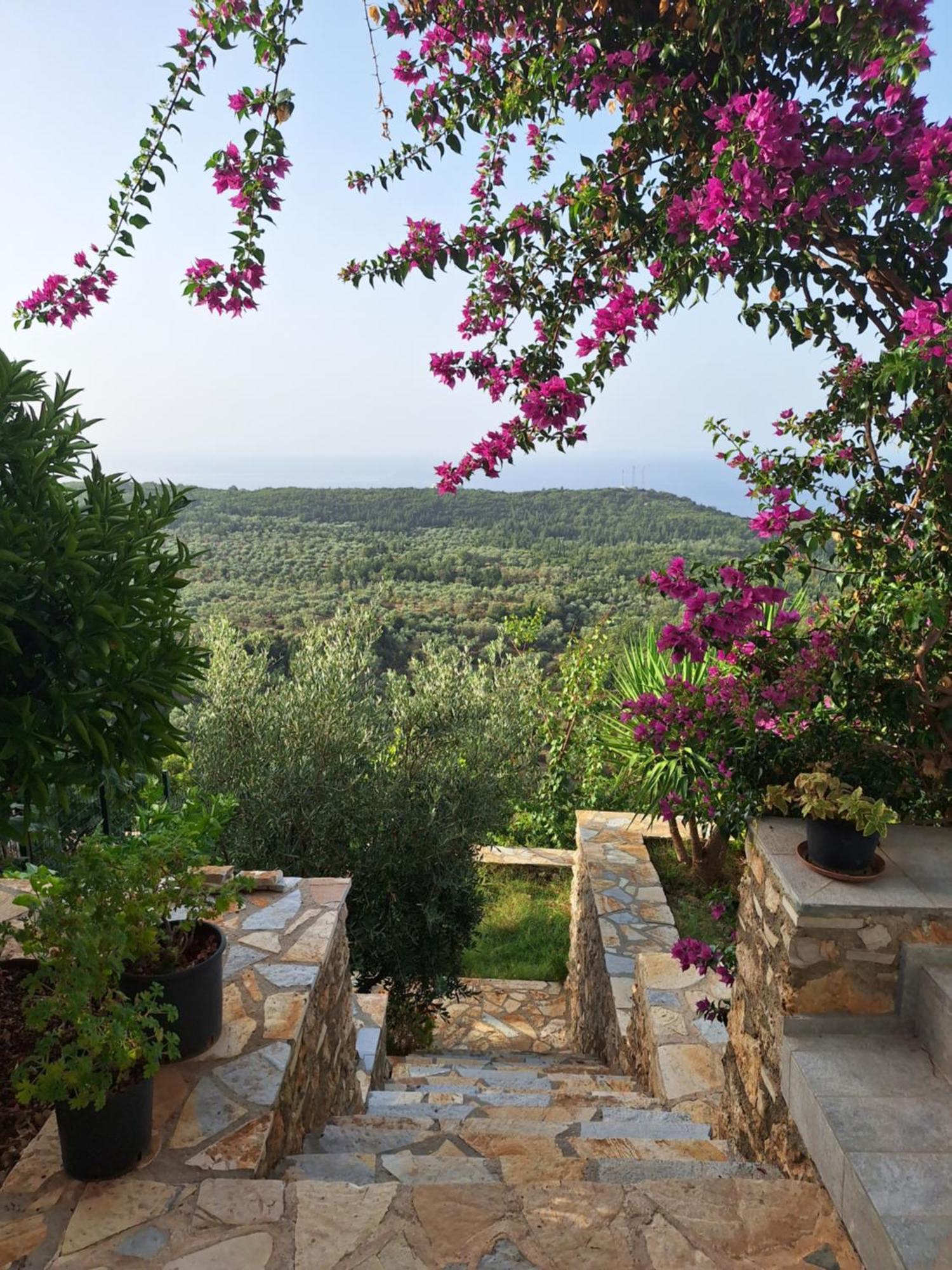 Vila Tatjana Pension Vuno Buitenkant foto