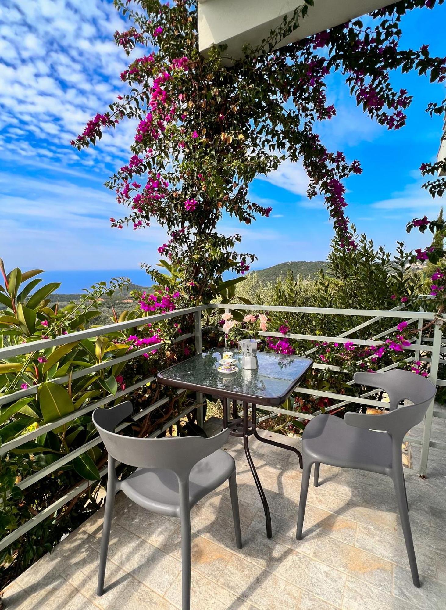 Vila Tatjana Pension Vuno Buitenkant foto